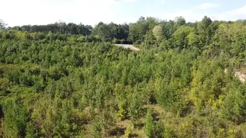 Three-Acre Rural Land Parcel