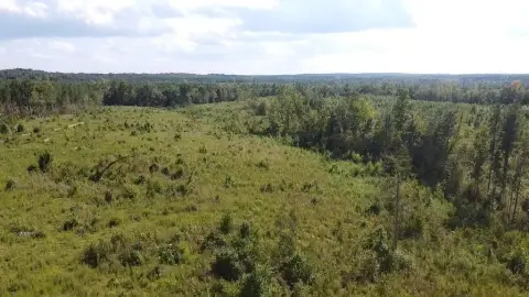Rural Hunting Land