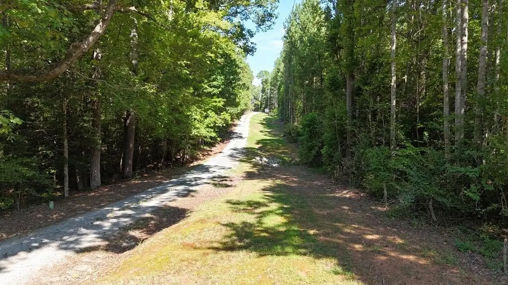 Picture 3
