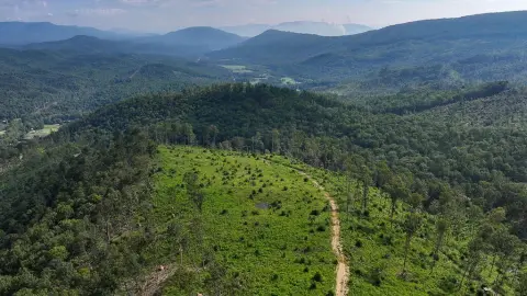 Hunting Land with Mountaintop Meadow