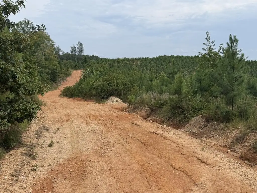 Picture 40