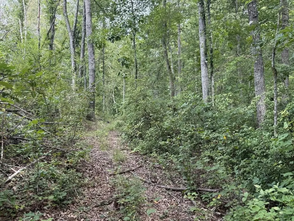 Picture 43