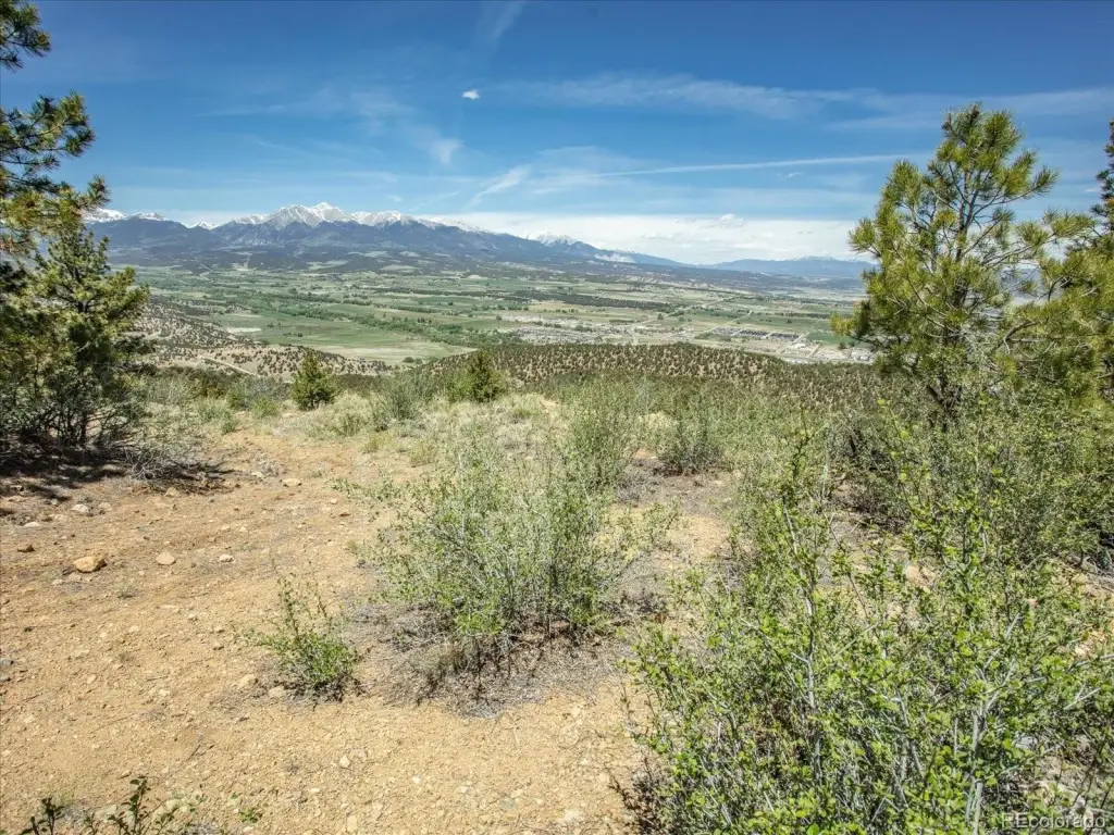 Picture 24