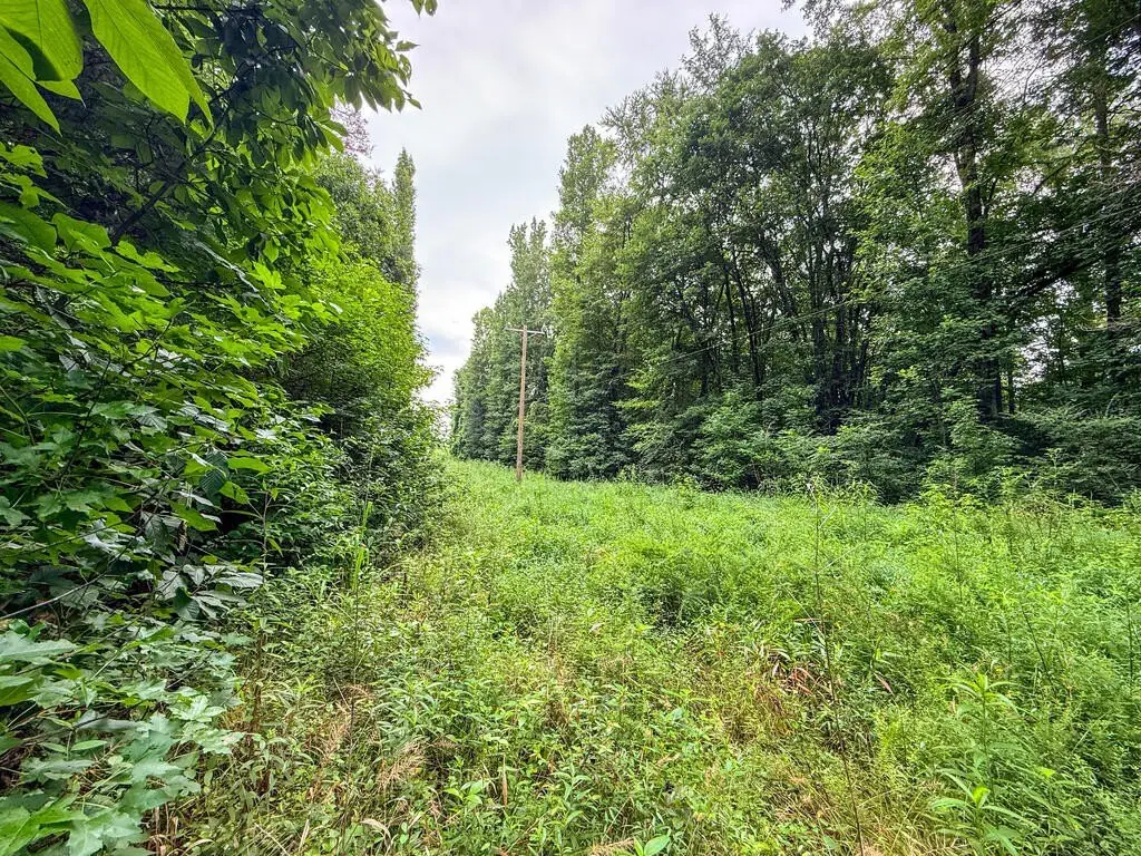 Picture 22