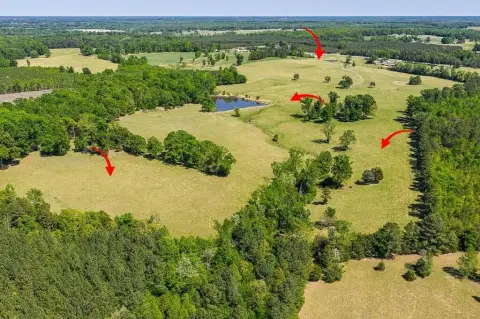Fenced Agricultural Land