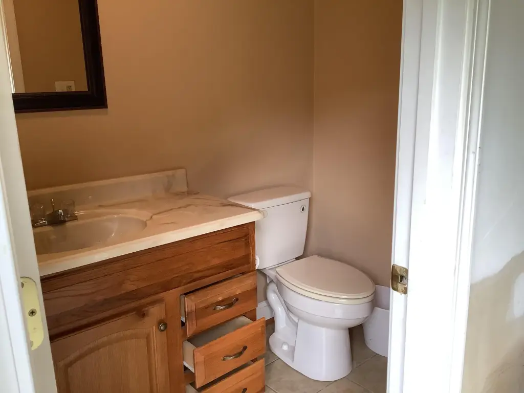 Picture 5