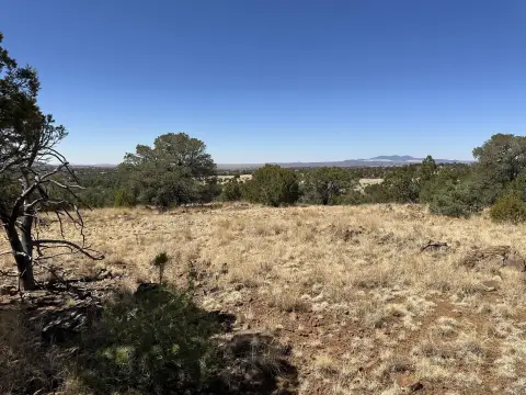 Unrestricted Land in Silver City