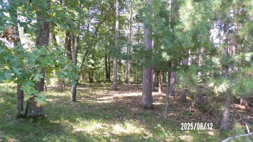Picture 5