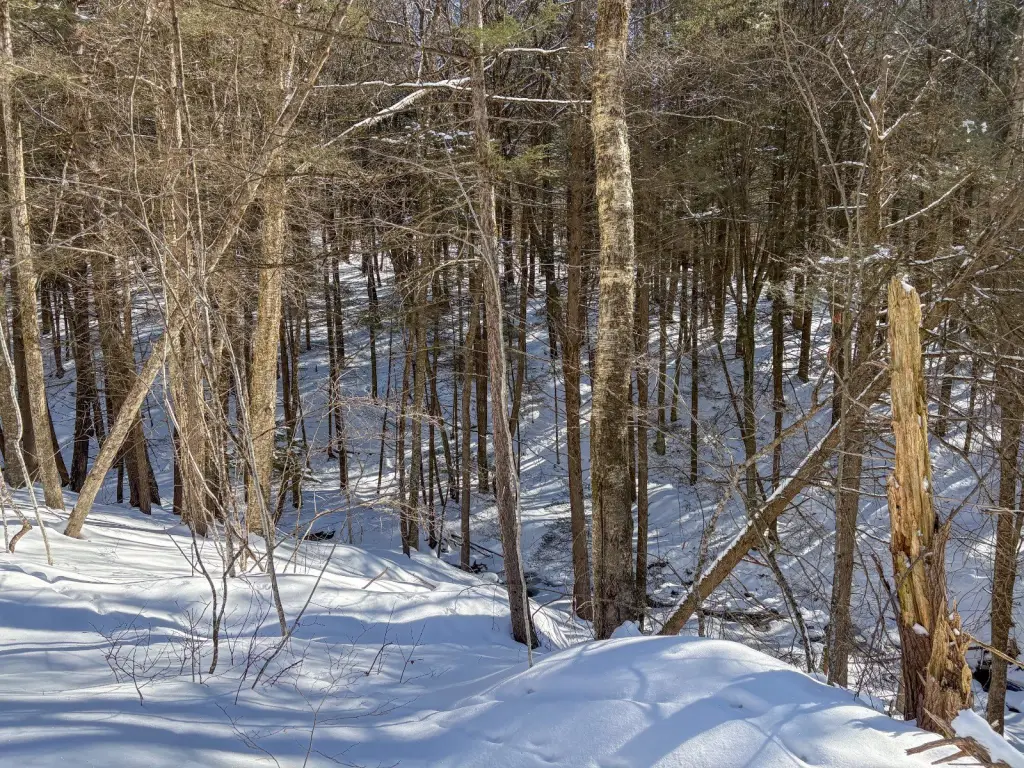 Picture 14