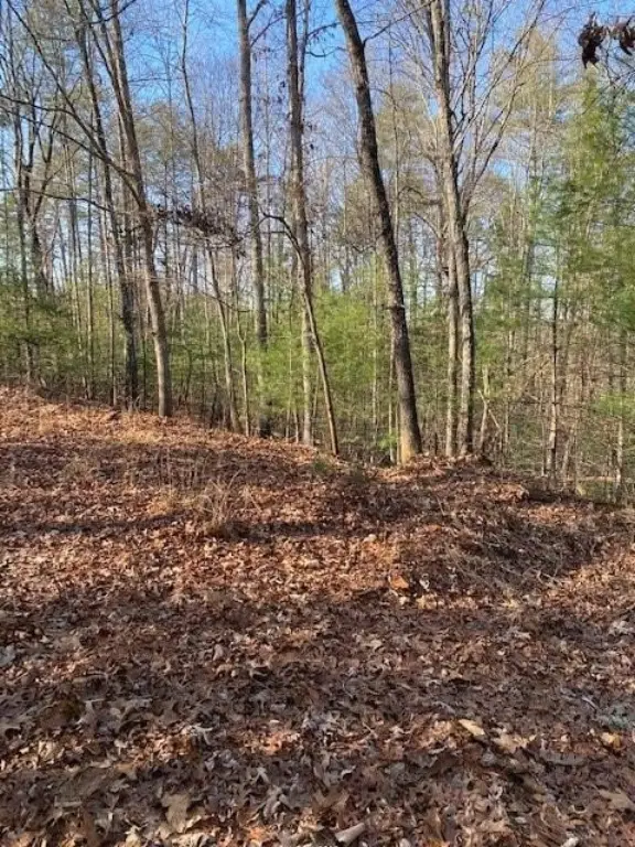 Picture 4