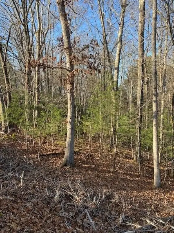 Picture 14