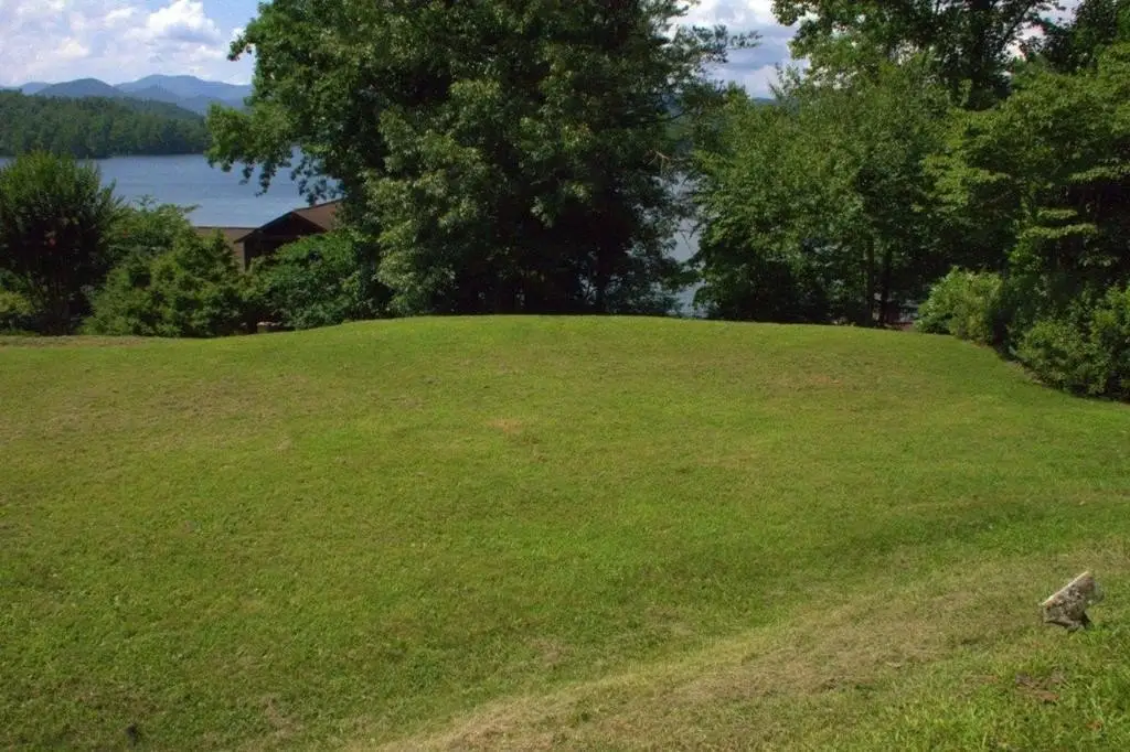Picture 11