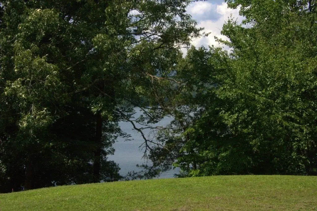 Picture 10