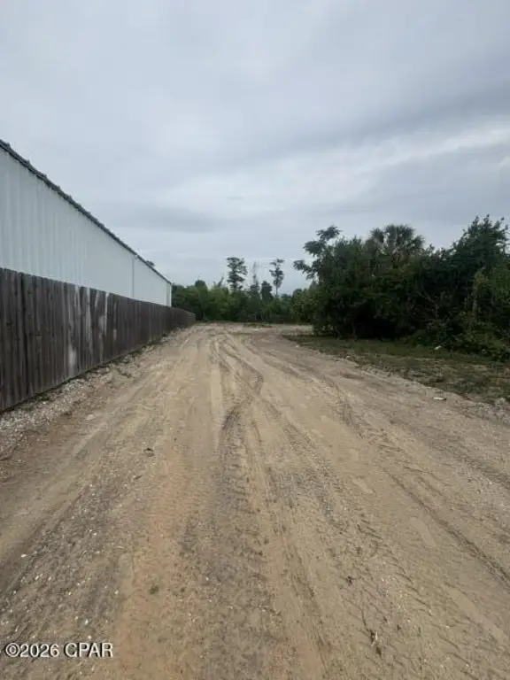 Picture 11