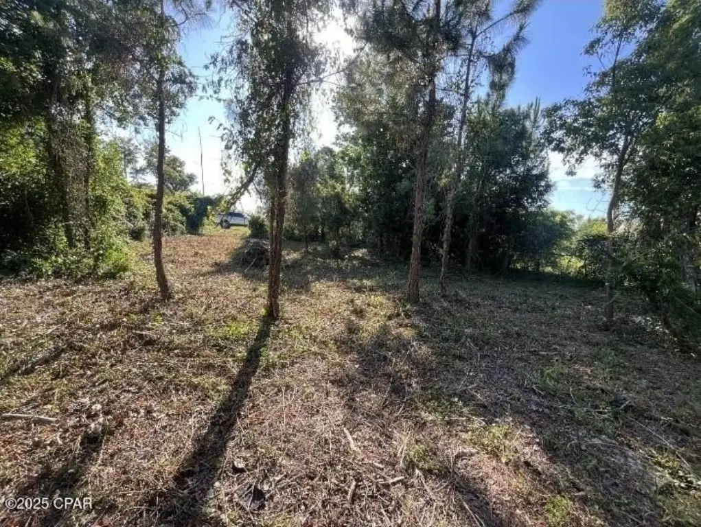 Picture 4