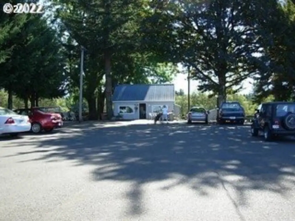 Picture 19