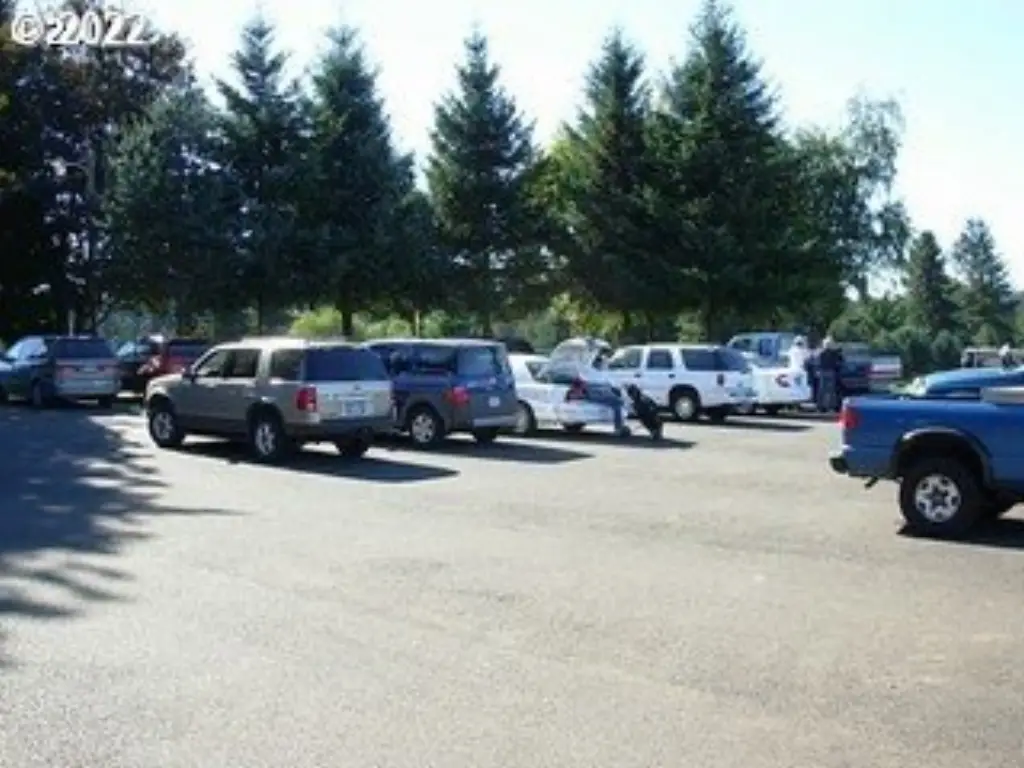 Picture 21
