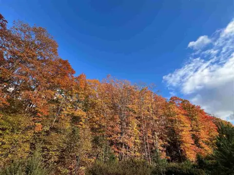 Picturesque Land Near Boyne City