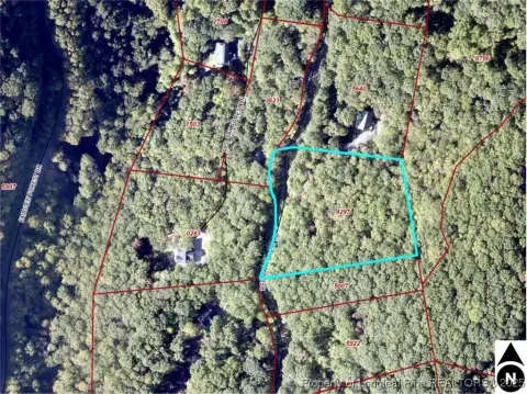 Fairview, NC Wooded Lot