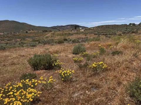 Portola Land with Commercial Zoning