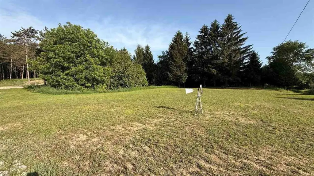 Picture 17
