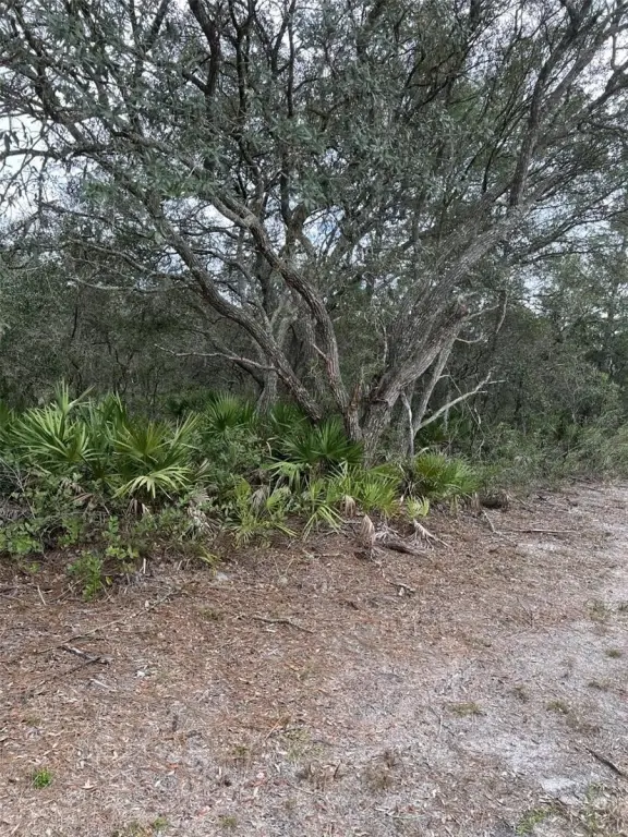 Picture 6
