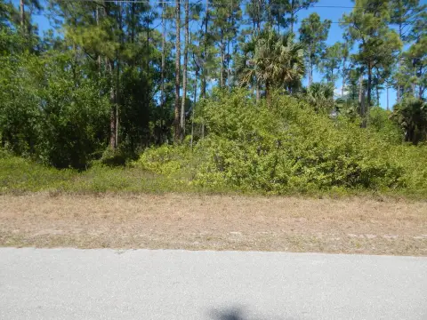 Residential Lot in Lehigh Acres