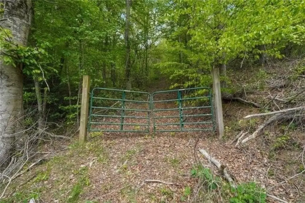 Picture 8