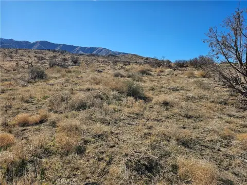 Juniper Hills Vacant Land