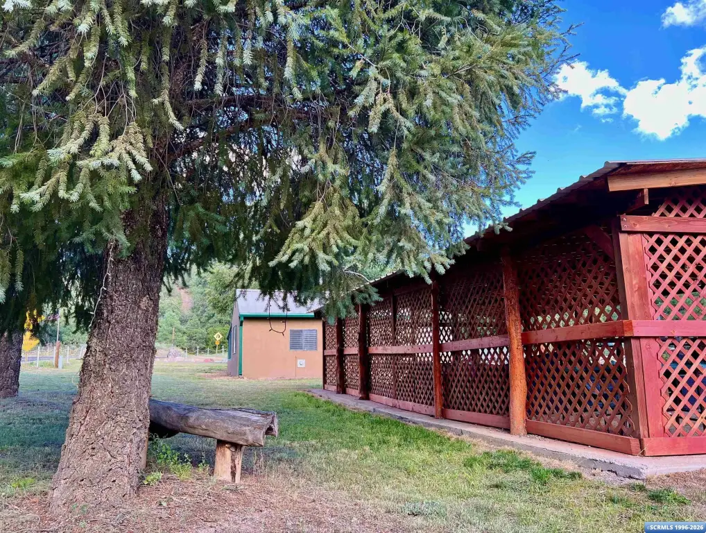 Picture 20