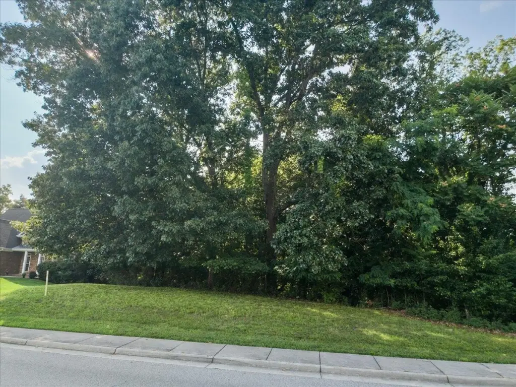 Picture 18