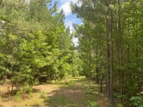 North Augusta Wooded Acreage For Sale