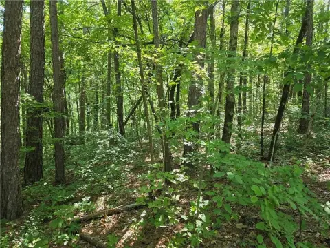 Wooded Land with Creek Frontage
