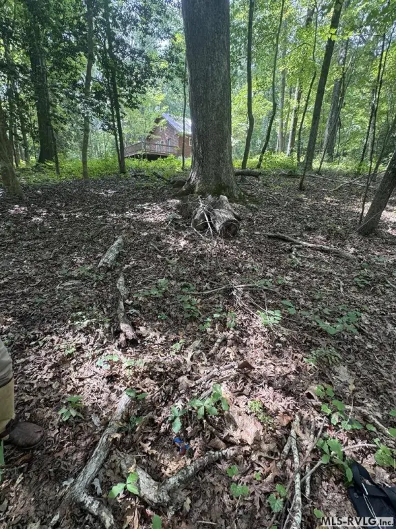 Picture 16