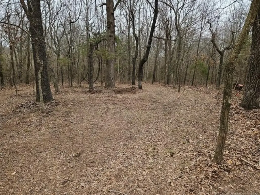 Picture 9
