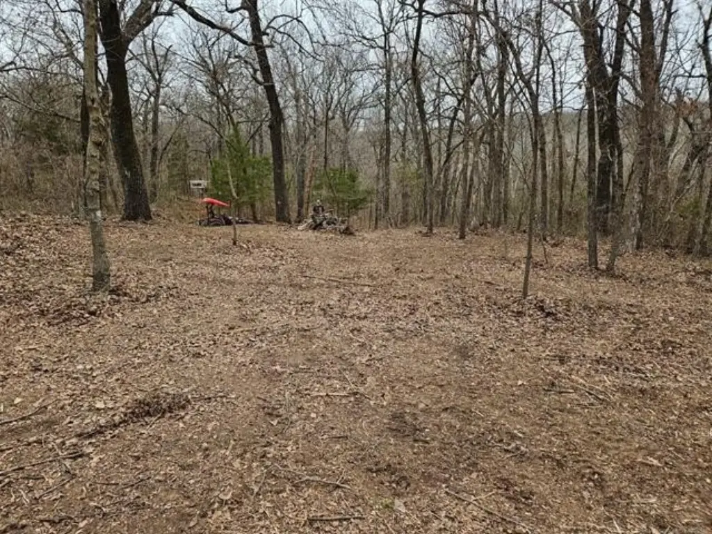Picture 8