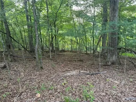 Wooded Lot in Flint Ridge