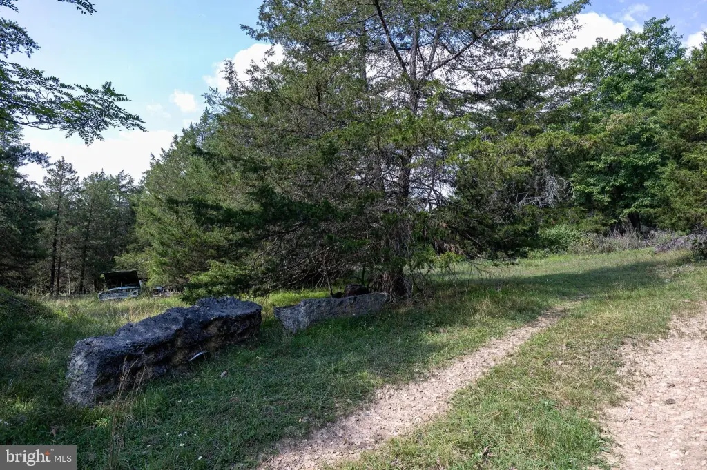Picture 14