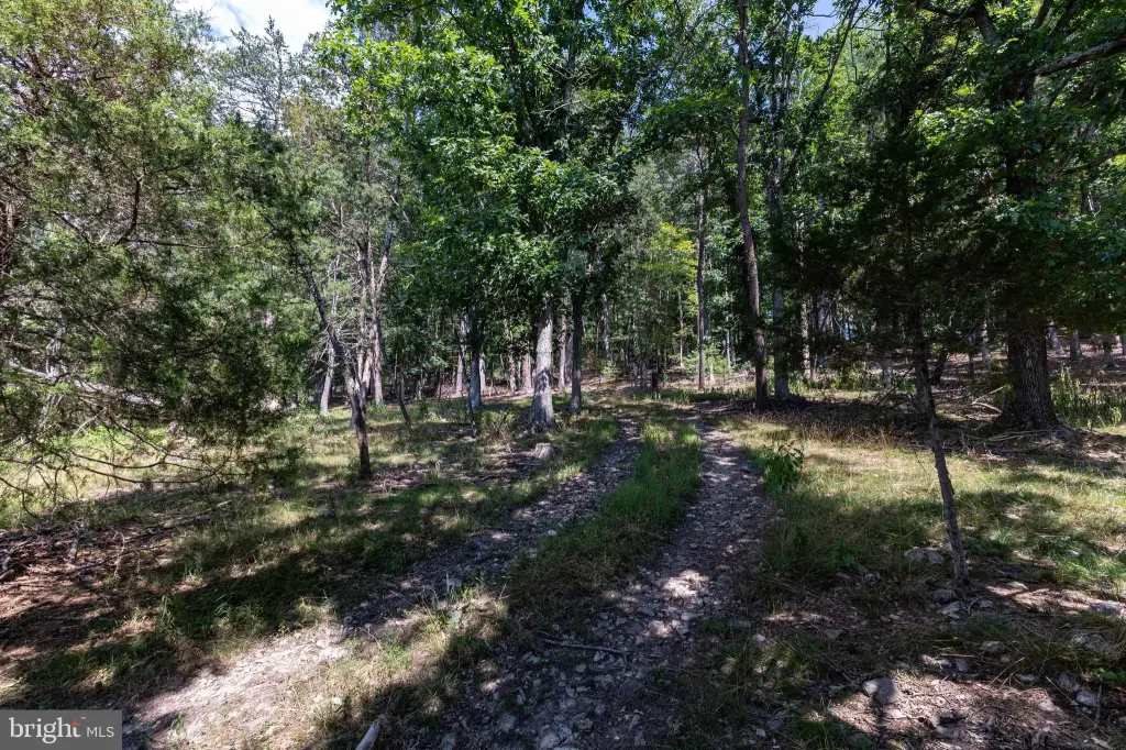 Picture 18