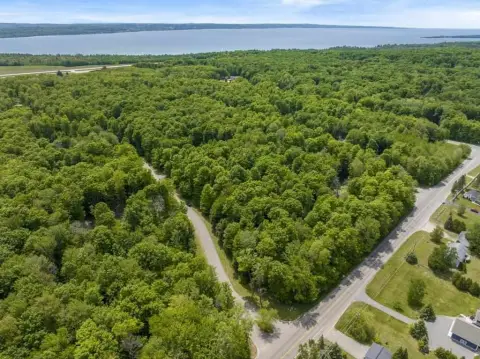Wooded Lot Near Lake Michigan