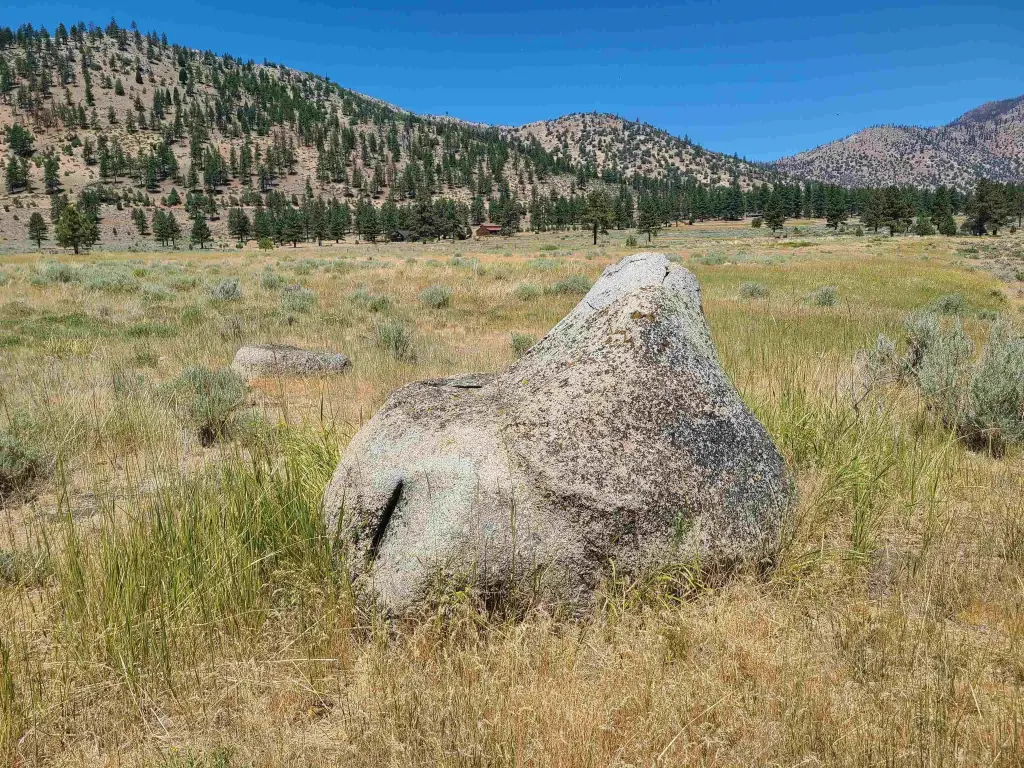 Picture 22