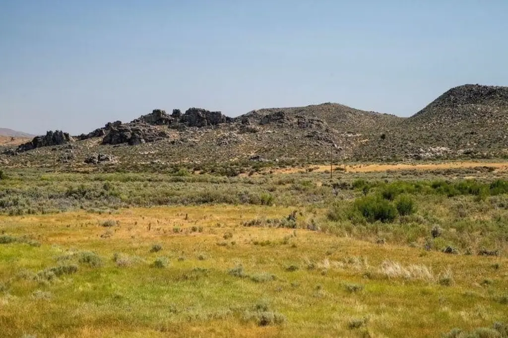 Picture 24