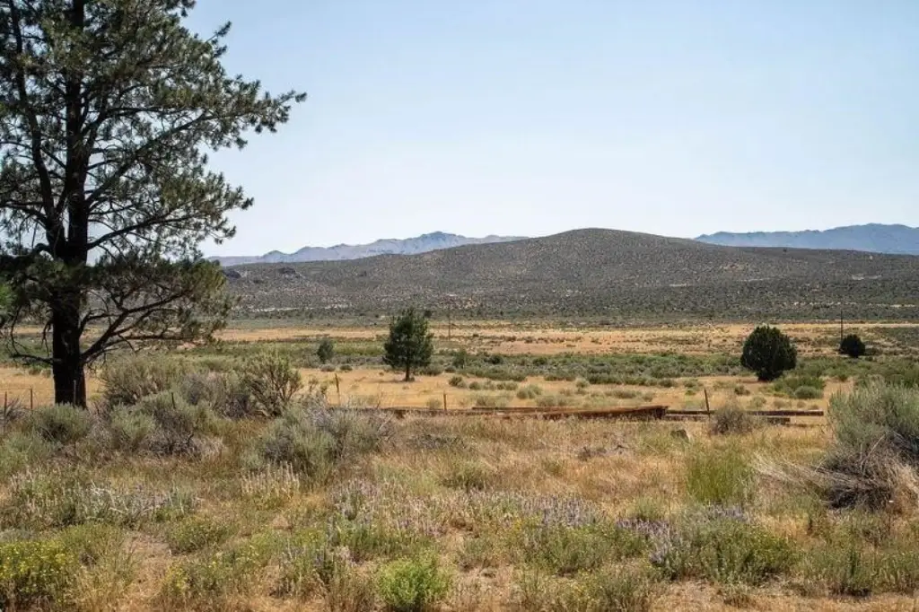 Picture 20
