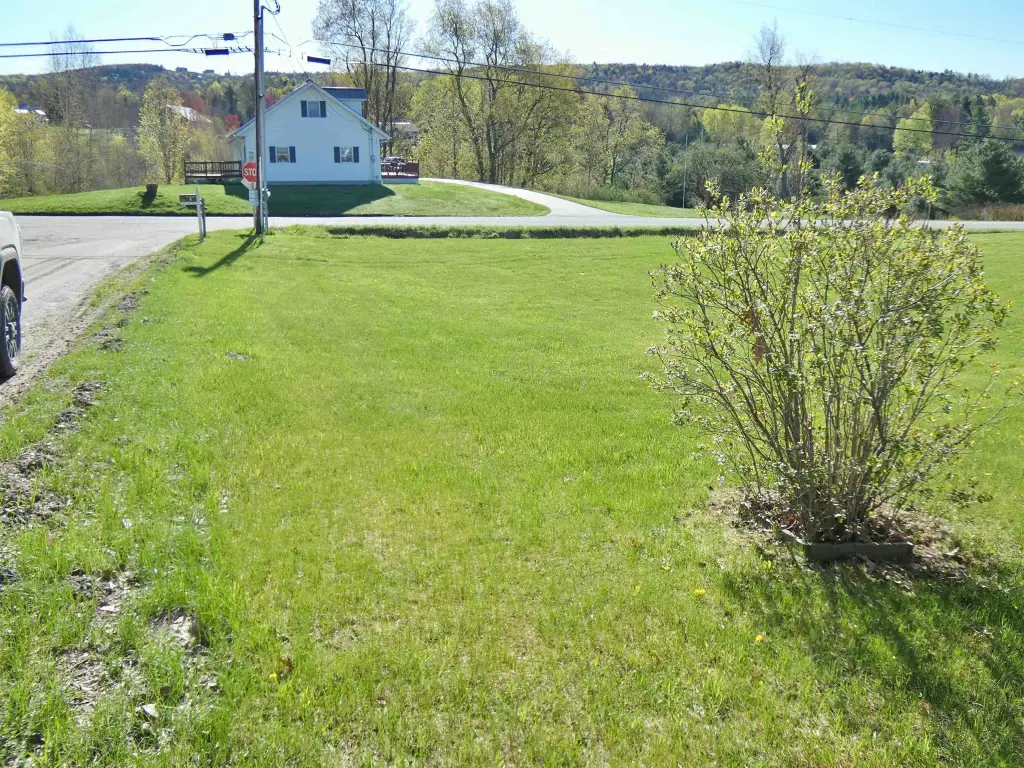Picture 8