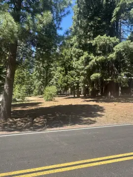 Lake Almanor Single Family Lot