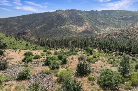 Taylorsville Acreage Bordering National Forest