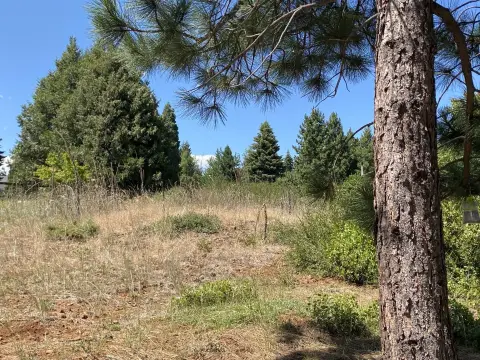 Lake Almanor Lakeview Lot