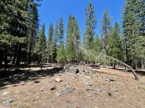 Graeagle Buildable Lot Opportunity