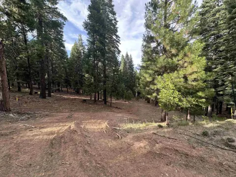 Lake Almanor West Residential Lot