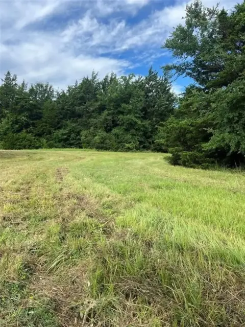 Sulphur Springs Unimproved Land Parcel